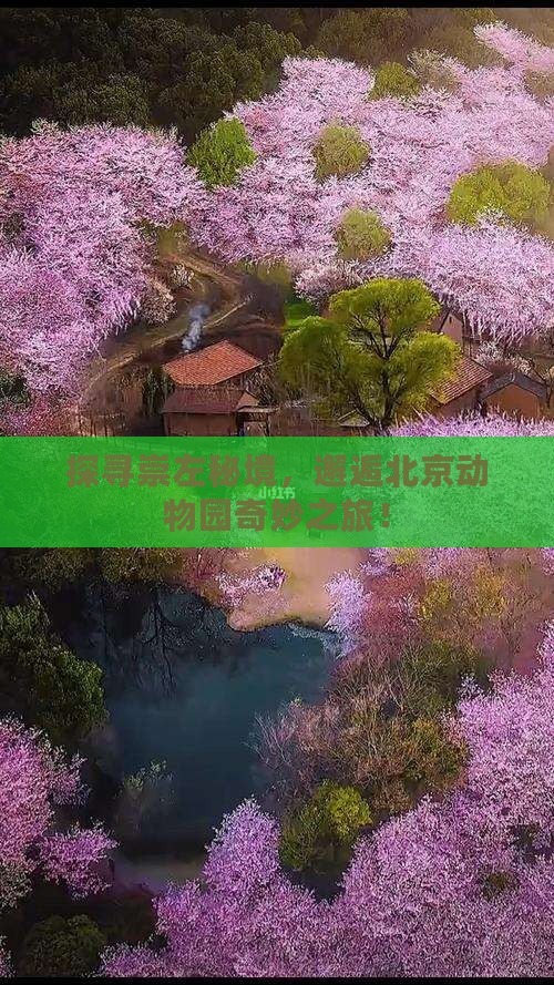 探寻崇左秘境，邂逅北京动物园奇妙之旅！