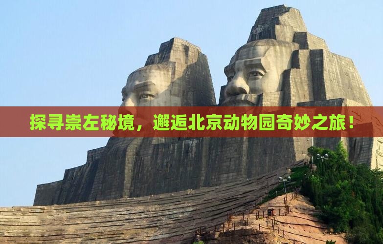 探寻崇左秘境，邂逅北京动物园奇妙之旅！