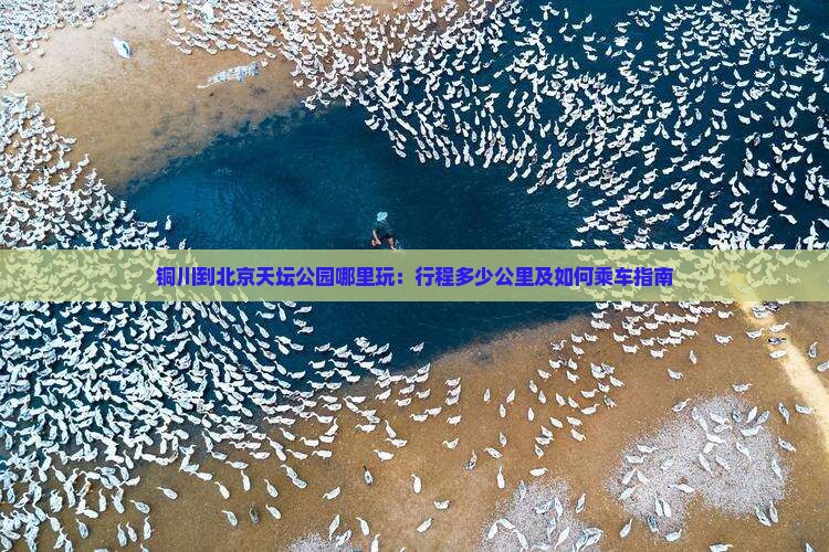 铜川到北京天坛公园哪里玩：行程多少公里及如何乘车指南