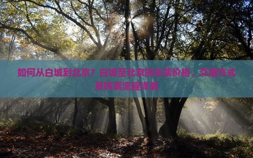 如何从白城到北京？白城至北京的车票价格、交通方式及购票流程详解