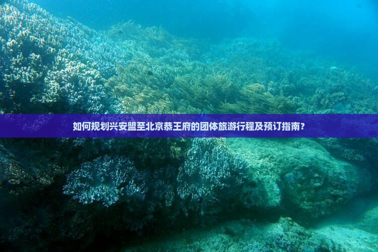 如何规划兴安盟至北京恭王府的团体旅游行程及预订指南？