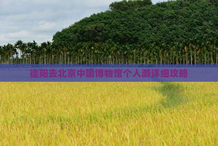 德阳去北京中国博物馆个人游详细攻略