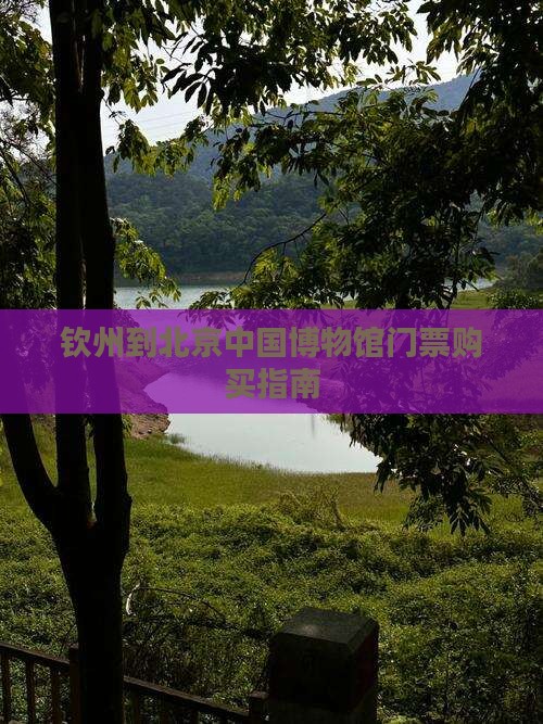 钦州到北京中国博物馆门票购买指南