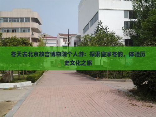 冬天去北京故宫博物院个人游：探索皇家冬韵，体验历史文化之旅