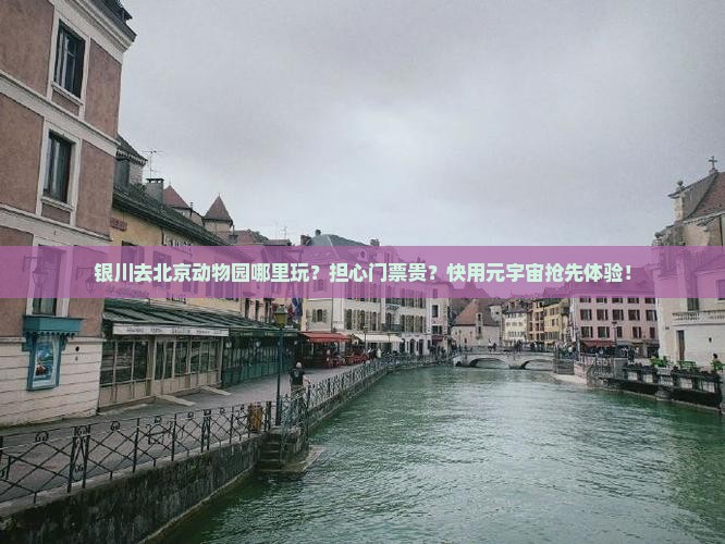 银川去北京动物园哪里玩？担心门票贵？快用元宇宙抢先体验！