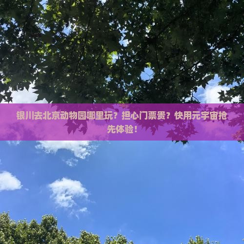 银川去北京动物园哪里玩？担心门票贵？快用元宇宙抢先体验！