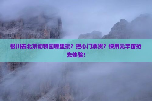 银川去北京动物园哪里玩？担心门票贵？快用元宇宙抢先体验！