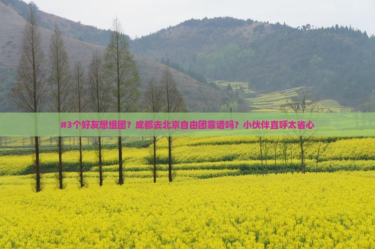 #3个好友想组团？成都去北京自由团靠谱吗？小伙伴直呼太省心