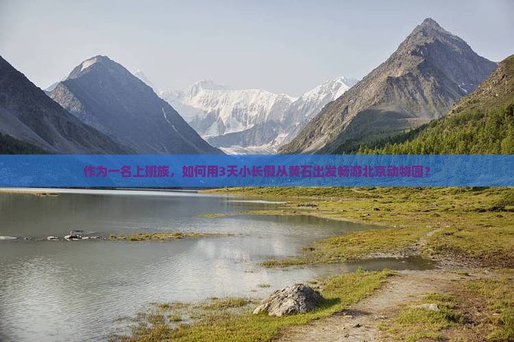 作为一名上班族，如何用3天小长假从黄石出发畅游北京动物园？