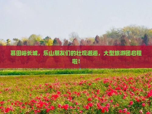 慕田峪长城，乐山朋友们的壮观邂逅，大型旅游团启程啦！