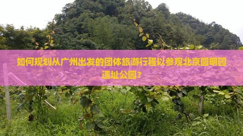 如何规划从广州出发的团体旅游行程以参观北京圆明园遗址公园？