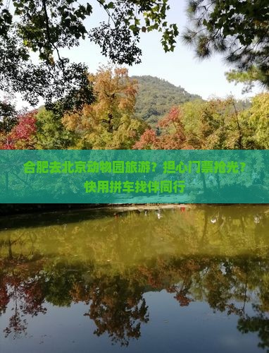 合肥去北京动物园旅游？担心门票抢光？快用拼车找伴同行