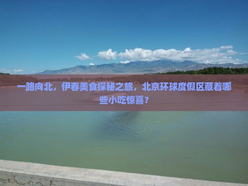 一路向北，伊春美食探秘之旅，北京环球度假区藏着哪些小吃惊喜？