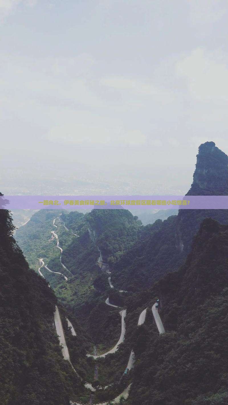 一路向北，伊春美食探秘之旅，北京环球度假区藏着哪些小吃惊喜？