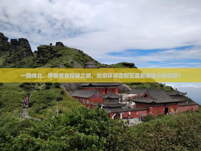 一路向北，伊春美食探秘之旅，北京环球度假区藏着哪些小吃惊喜？