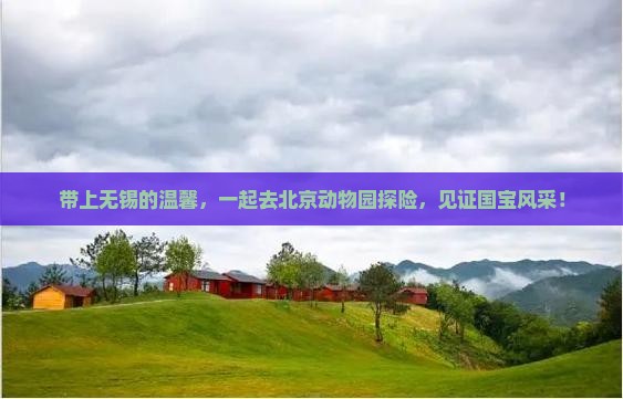 带上无锡的温馨，一起去北京动物园探险，见证国宝风采！