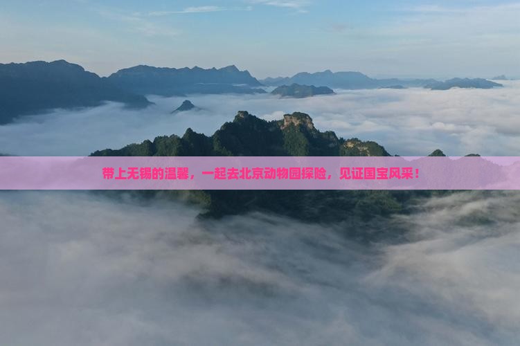 带上无锡的温馨，一起去北京动物园探险，见证国宝风采！