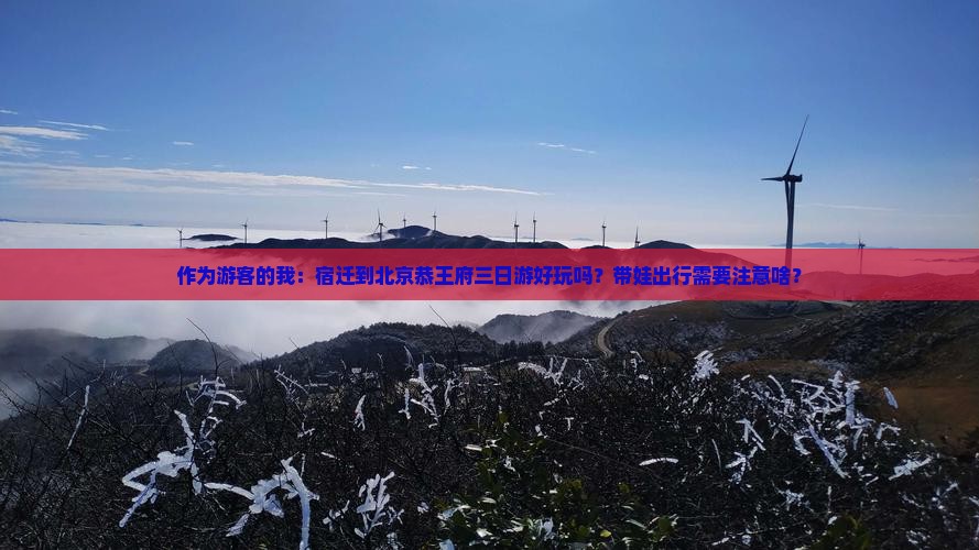 作为游客的我：宿迁到北京恭王府三日游好玩吗？带娃出行需要注意啥？