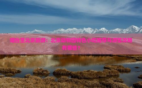 烟台至北京旅游：北京动物园特色小吃推荐与游览攻略有哪些？