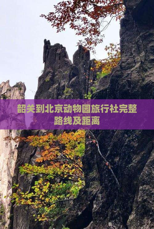 韶关到北京动物园旅行社完整路线及距离