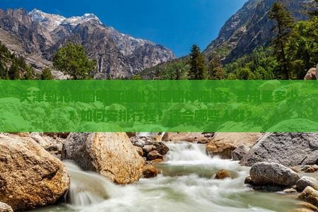 天津到北京圆明园遗址公园团体旅游？费用是多少？如何安排行程？适合哪些人群？