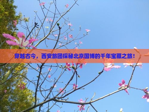 穿越古今，西安旅团探秘北京国博的千年宝藏之旅！