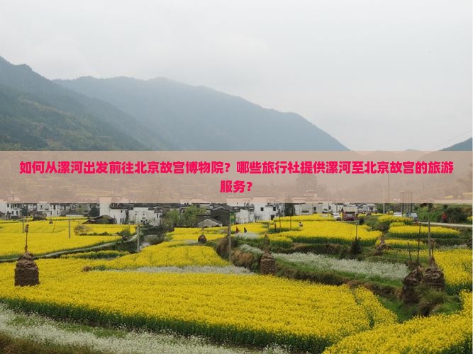 如何从漯河出发前往北京故宫博物院？哪些旅行社提供漯河至北京故宫的旅游服务？