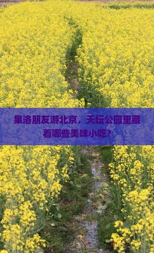 果洛朋友游北京，天坛公园里藏着哪些美味小吃？