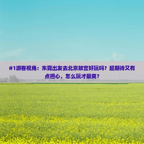 #1游客视角：东莞出发去北京故宫好玩吗？超期待又有点担心，怎么玩才最爽？