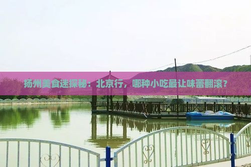 扬州美食迷探秘：北京行，哪种小吃最让味蕾翻滚？