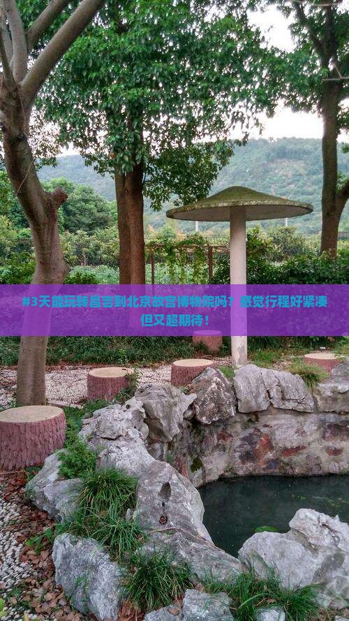 #3天能玩转昌吉到北京故宫博物院吗？感觉行程好紧凑但又超期待！