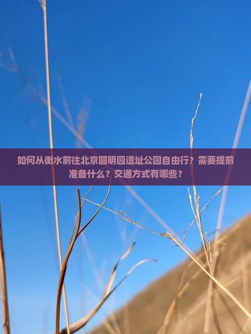 如何从衡水前往北京圆明园遗址公园自由行？需要提前准备什么？交通方式有哪些？