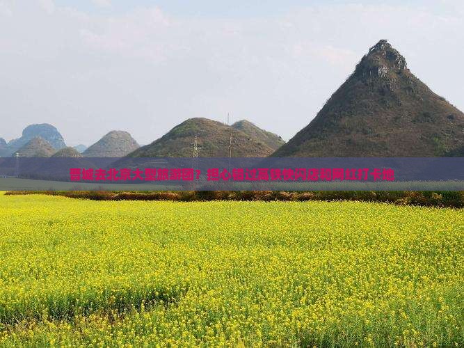 晋城去北京大型旅游团？担心错过高铁快闪店和网红打卡地