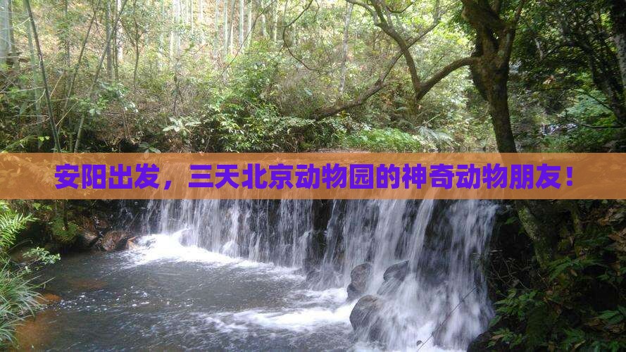 安阳出发，三天北京动物园的神奇动物朋友！