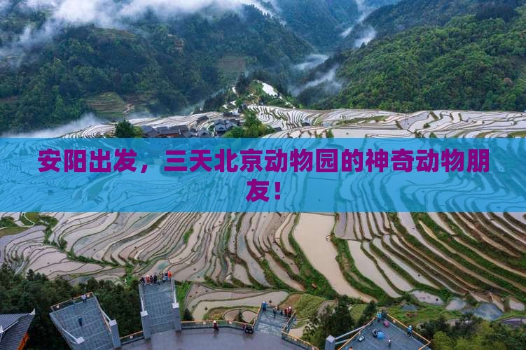 安阳出发，三天北京动物园的神奇动物朋友！