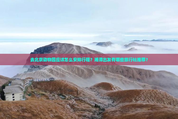 去北京动物园应该怎么安排行程？湘潭出发有哪些旅行社推荐？