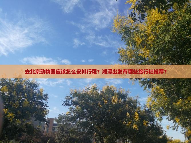 去北京动物园应该怎么安排行程？湘潭出发有哪些旅行社推荐？