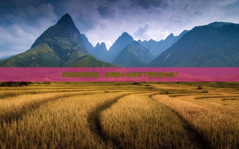 去北京动物园玩,安顺的小伙伴带了啥特色小吃? 去北京动物园玩,安顺的小伙伴带了啥特色小吃?
