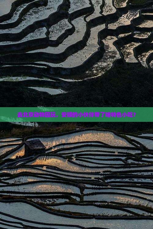 去北京动物园玩,安顺的小伙伴带了啥特色小吃? 去北京动物园玩,安顺的小伙伴带了啥特色小吃?