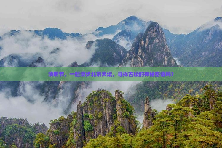 清明节，一起漫步北京天坛，寻找古坛的神秘密语吗？