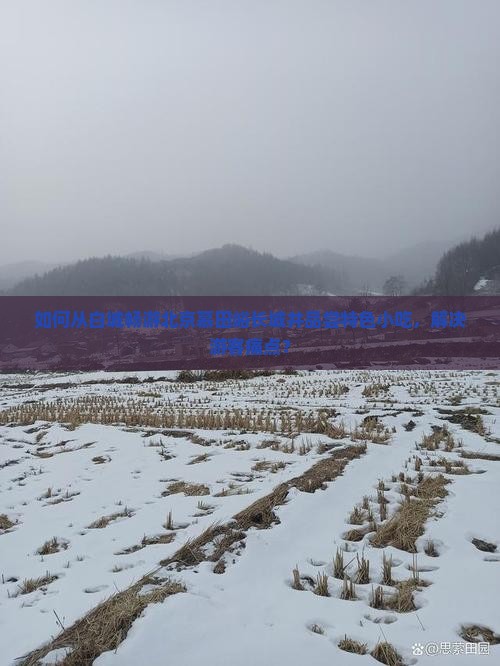 如何从白城畅游北京慕田峪长城并品尝特色小吃，解决游客痛点？