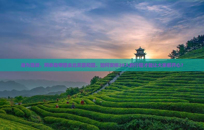 身为导游，阿泰勒带团去北京颐和园，如何安排20人的行程才能让大家都开心？