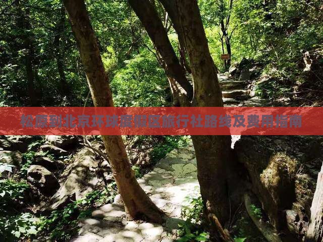 松原到北京环球度假区旅行社路线及费用指南