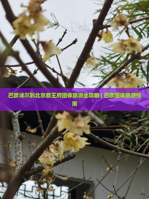 巴彦淖尔到北京恭王府团体旅游全攻略 | 巴彦团体旅游指南
