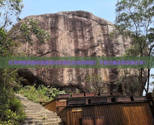 红河州居民如何选择旅行社前往北京动物园？下旅行痛点和攻略分享！