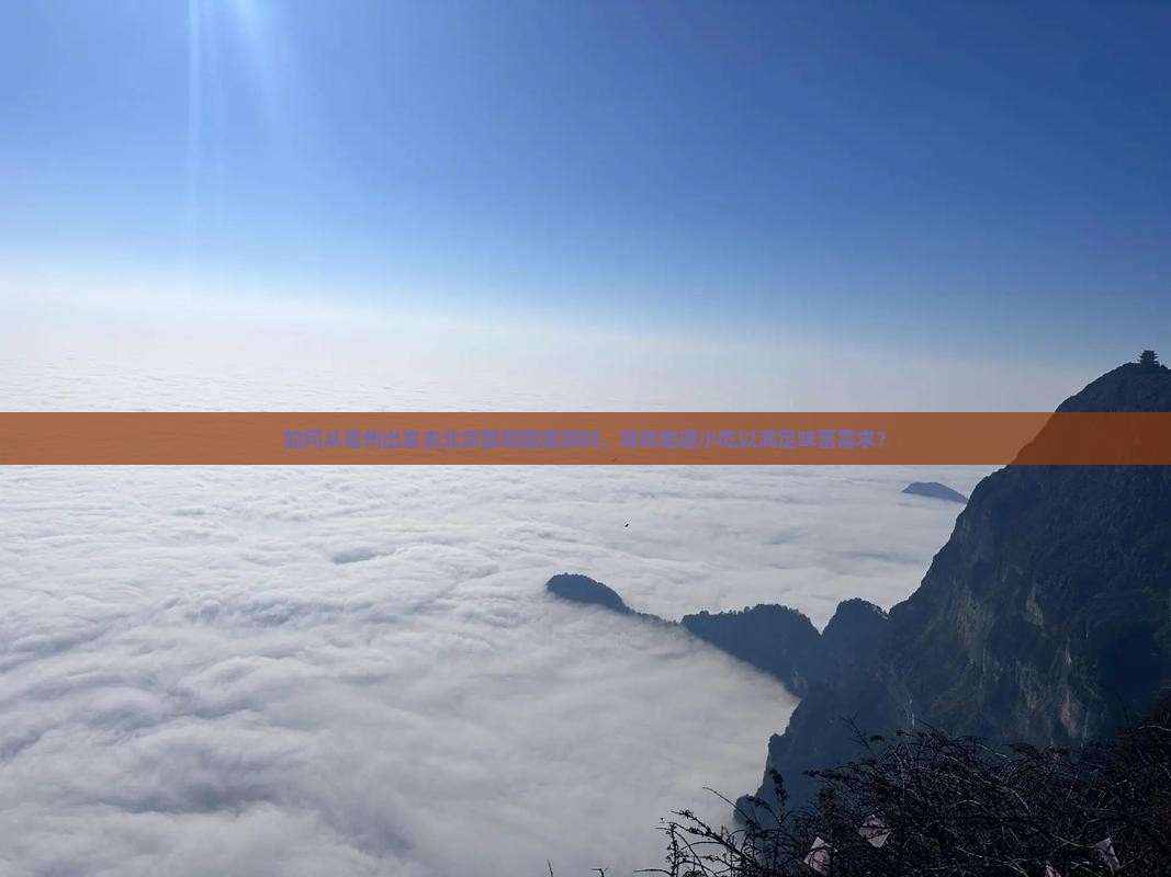如何从亳州出发去北京颐和园旅游时，寻找地道小吃以满足味蕾需求？