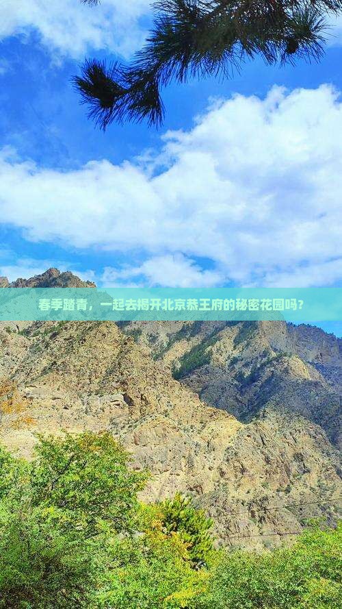 春季踏青，一起去揭开北京恭王府的秘密花园吗？