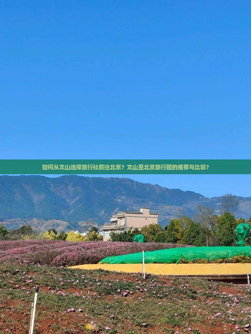 如何从文山选择旅行社前往北京？文山至北京旅行团的推荐与比较？