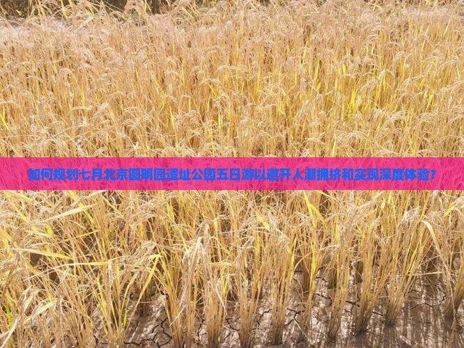 如何规划七月北京圆明园遗址公园五日游以避开人潮拥挤和实现深度体验？