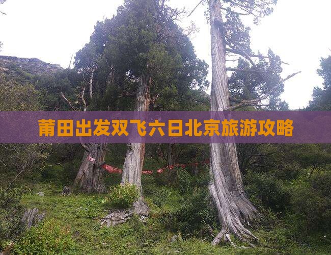 莆田出发双飞六日北京旅游攻略